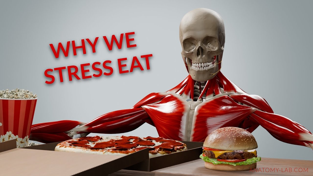 Why You Eat When You're Stressed