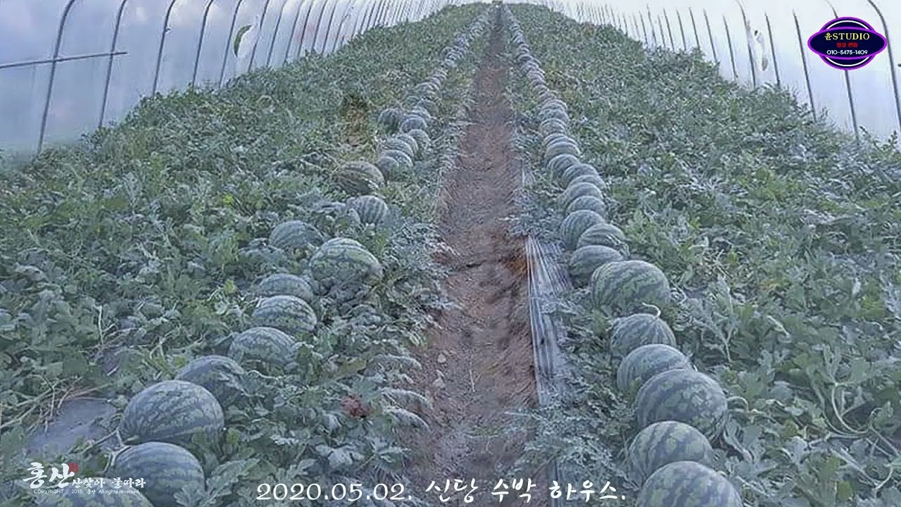 내고향 미을 풍경/ 윤STUDIO