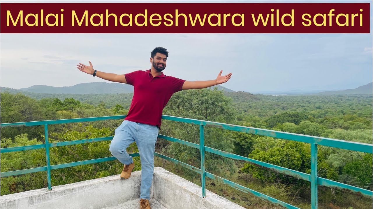 ನಮ್ಮೂರ್ ಕಾಡು🐅🐘 MM Hills Safari  - Chamarajanagara| ಮಹದೇಶ್ವರ ವನ್ಯಧಾಮದ ಅರಣ್ಯ ವಲಯದಲ್ಲಿಸಫಾರಿ 🦁🐯🐼🦊🐵🐸🐻🦓🦌