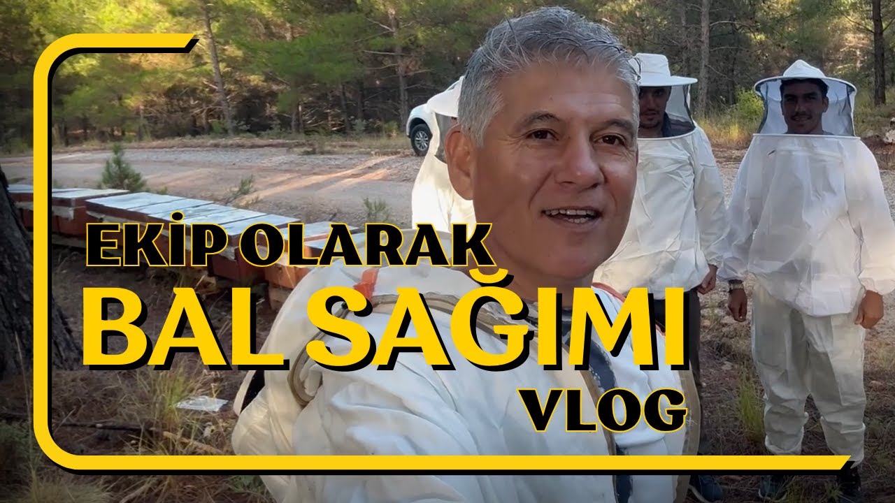 EKİP OLARAK BAL SAĞIMINA GİTTİK I VLOG I BAL HASADI