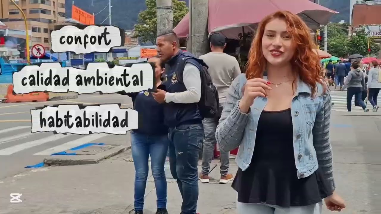 Análisis del barrio Alcázares-Bogotá