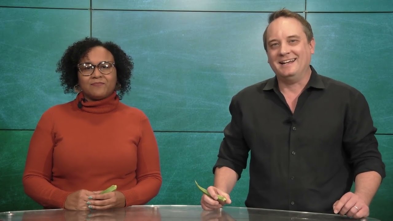 Okra Archives: Connecting Global Communities, Histories, and Futures