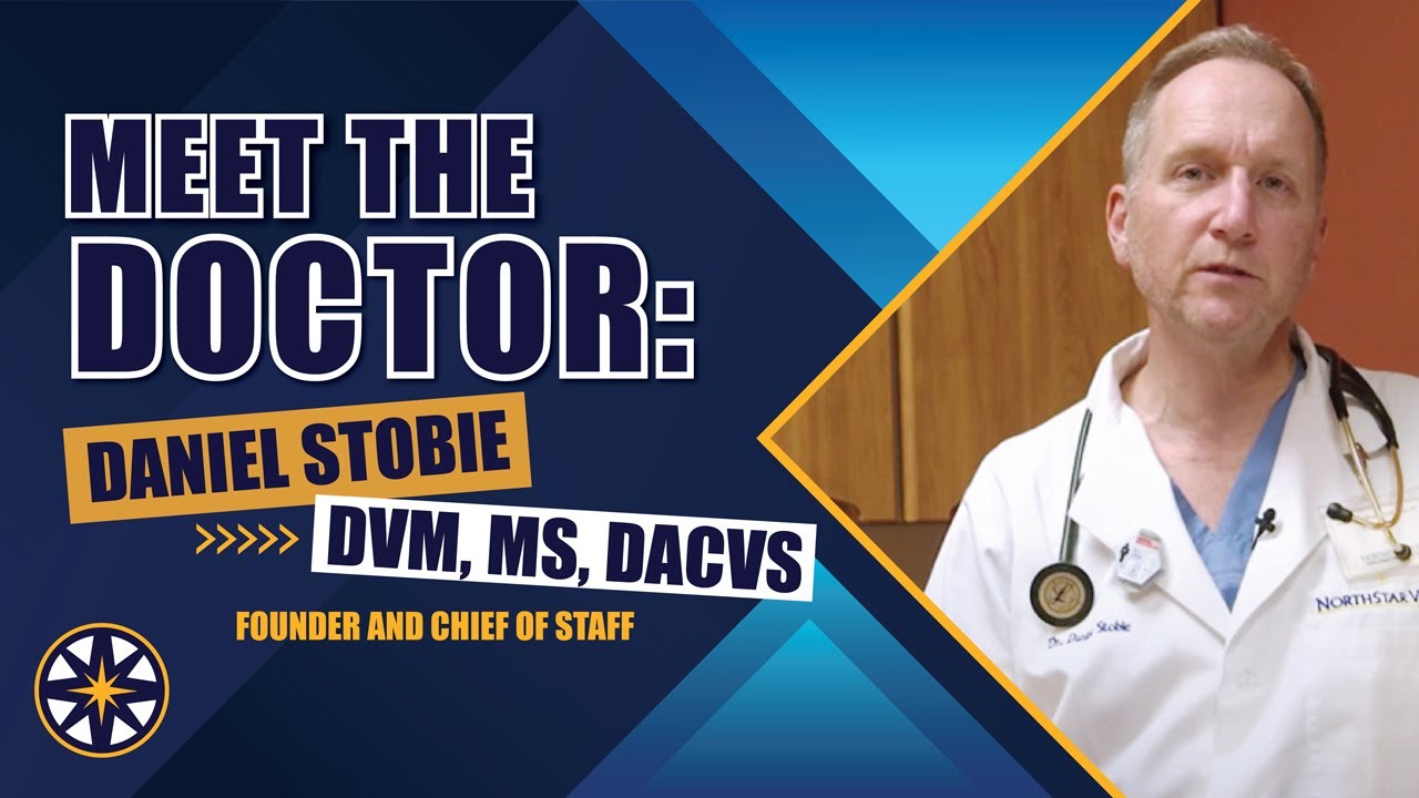 Meet the NorthStar VETS team: Daniel Stobie, DVM, MS, DACVS - Founder and Chief of Staff