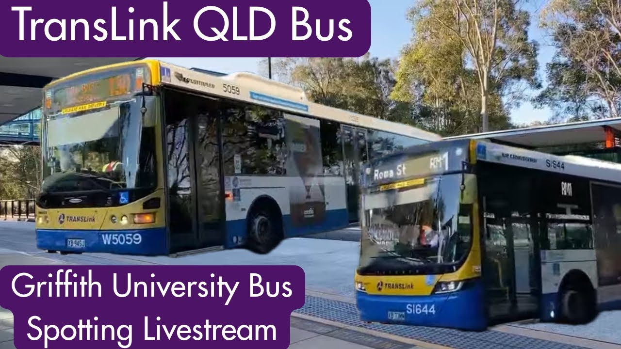 Griffith University Bus Spotting Livestream - Translink QLD
