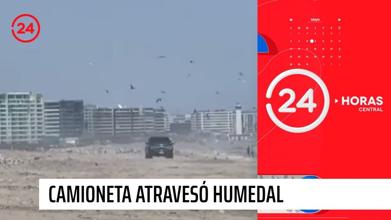 Camioneta atravesó humedal del Río Elqui donde nidifican aves | 24 Horas TVN Chile