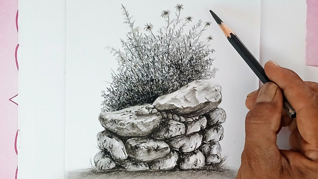 How to draw plants, bushes and stones fence by pencil.