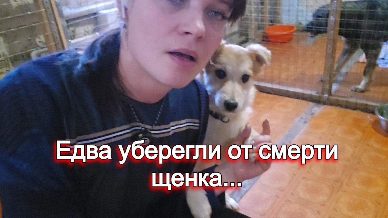 Родили, сломали, подбросили и ампутировали лапки