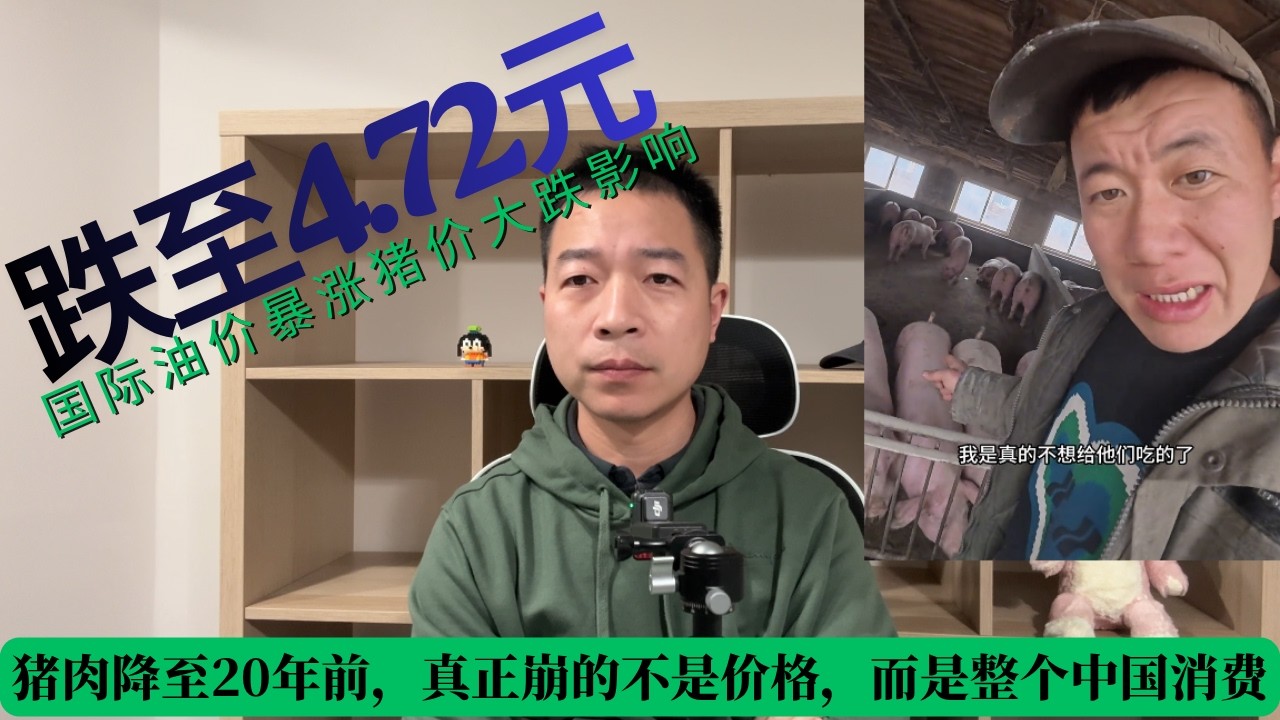 猪肉降至20年前，真正崩的不是价格，而是整个中国消费，国际油价暴涨对生猪养殖的冲击，背后深层影响