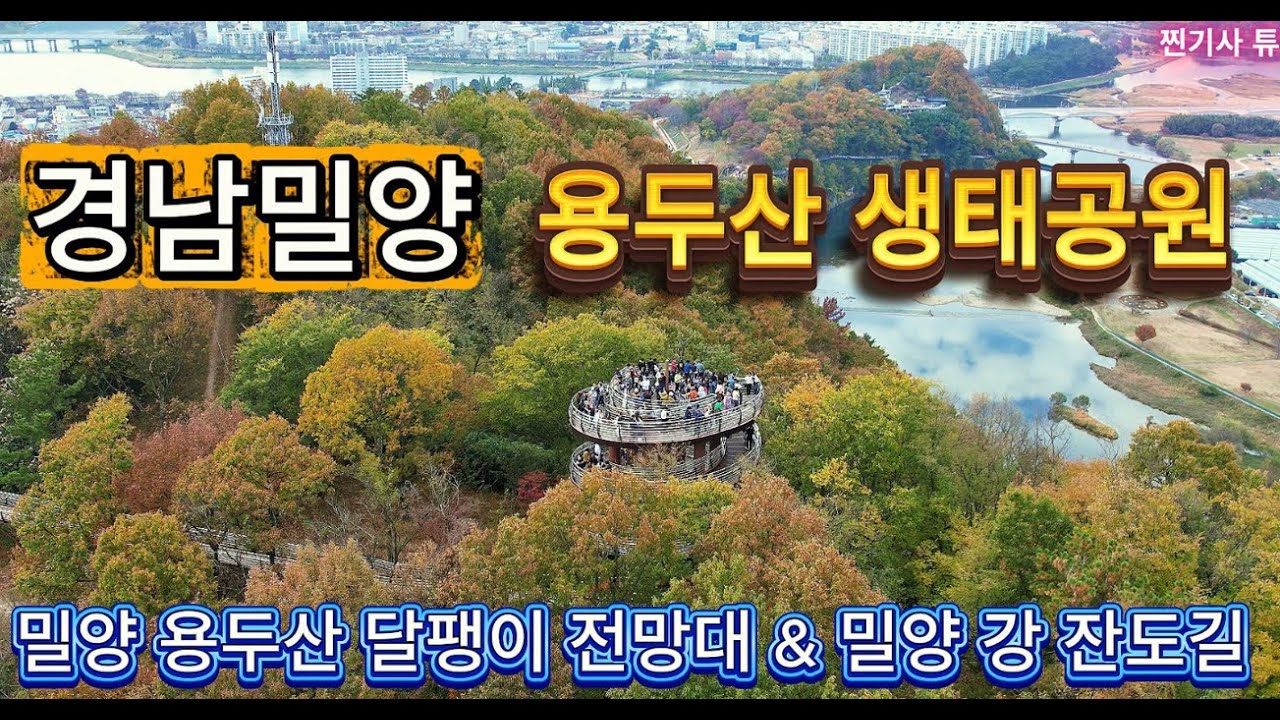 경남밀양 │달팽이전망대 │용두산생태공원 │밀양강 잔도길 │밀양용두산달팽미전망대 │ 밀양금시당│ 밀양은행나무 │금시당 백곡재 │밀양가을명소