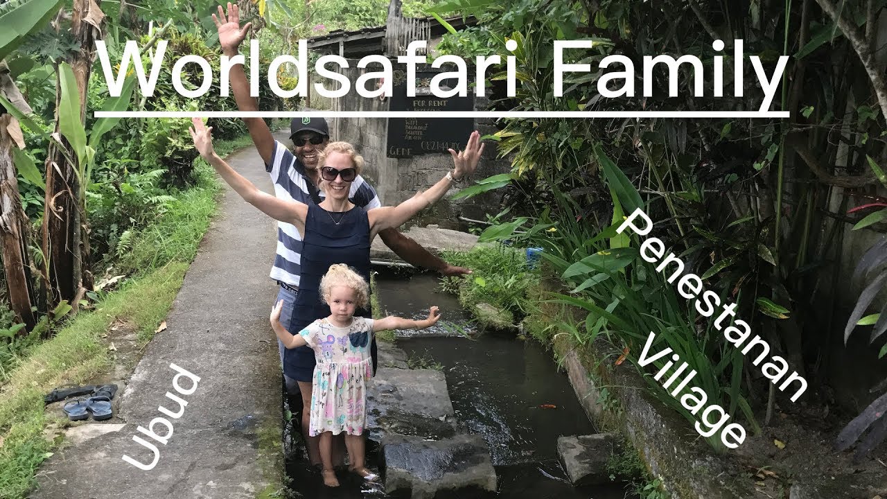 Penestanan Village | Ubud | Natur, Palmen und Reisfelder | VLOG #011