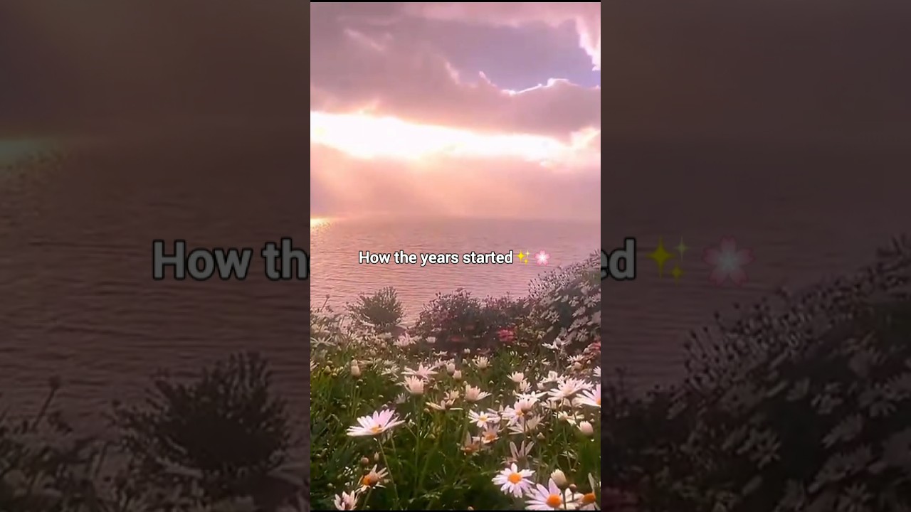 2025..🥀#aestheic#2026#fypシ#edit#hannistics