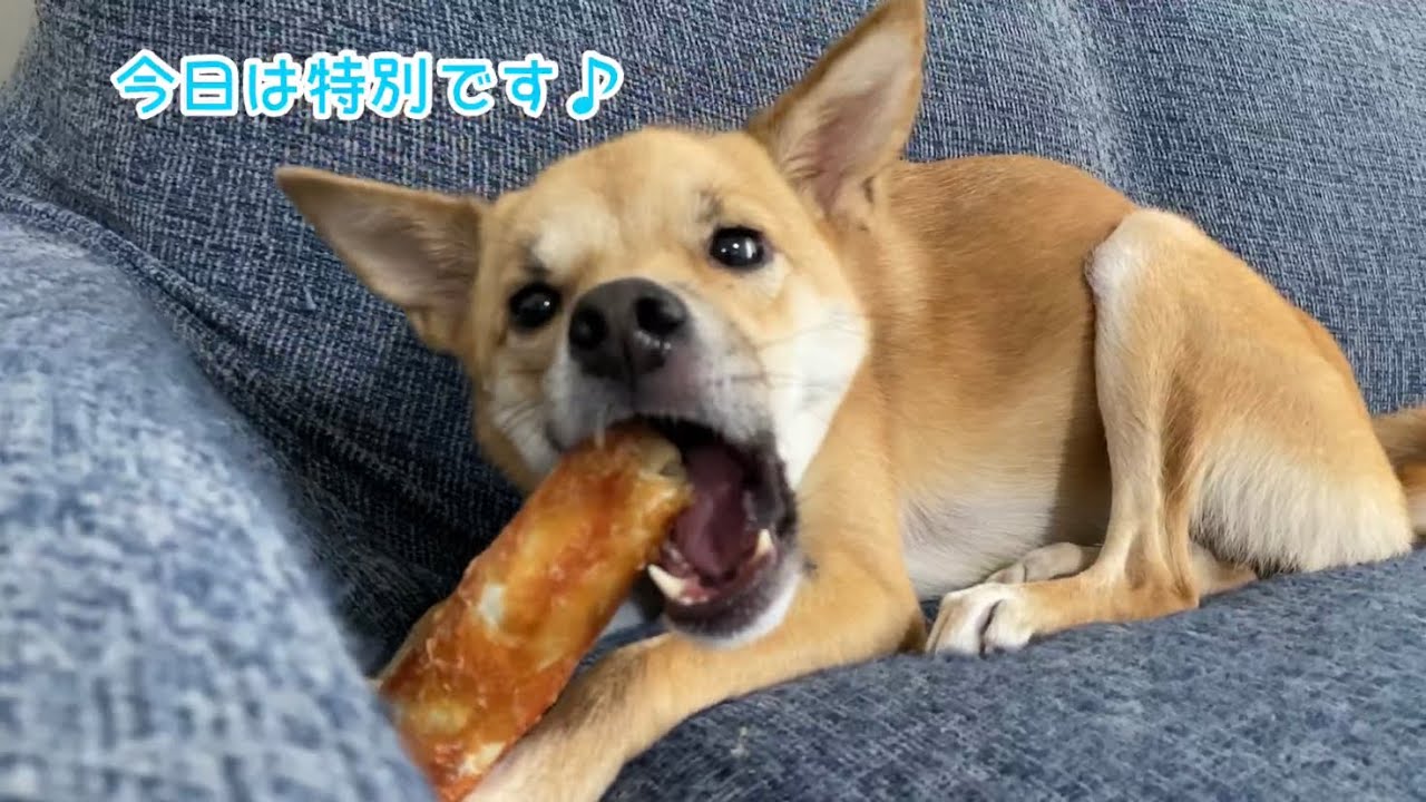 梅雨時期の暇な日にご支援いただいたおやつをみんなでいただきました！