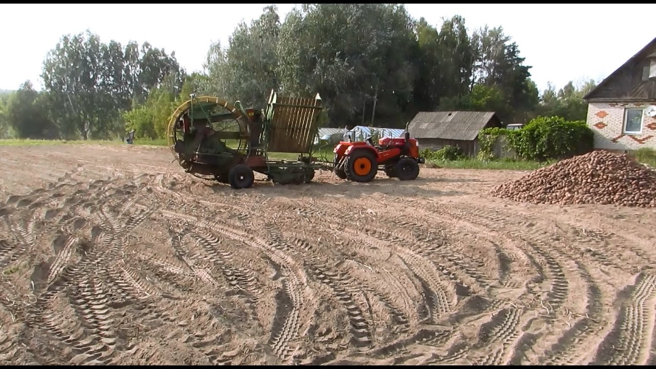 Шифенг и Хася. Пробую копать на второй.
