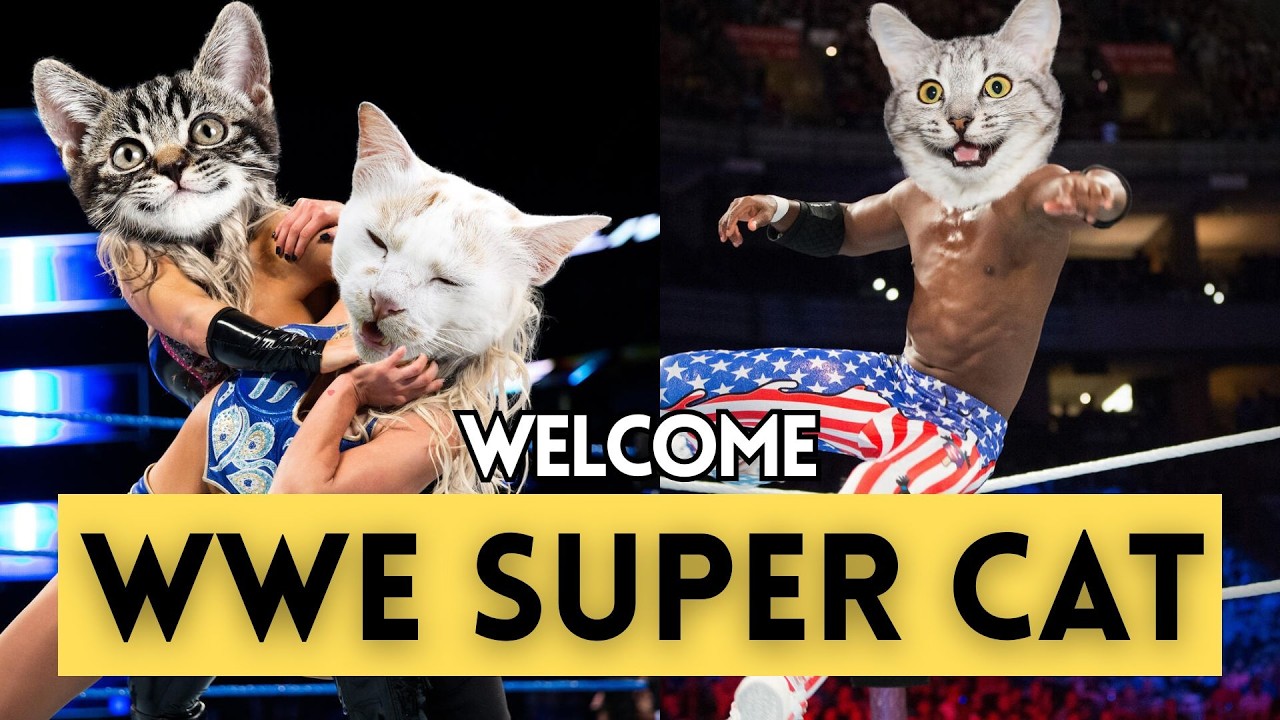 WWE SUPER CAT | Commentary