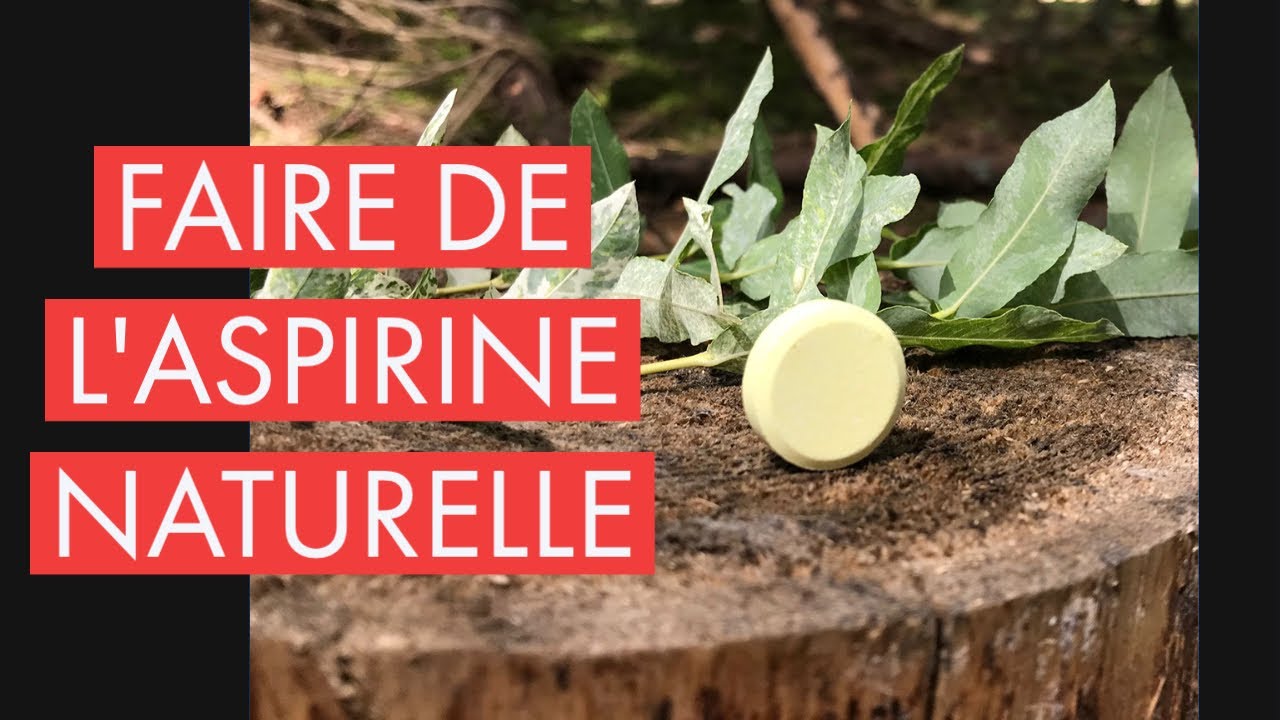 Cueillir de l'ASPIRINE dans les arbres
