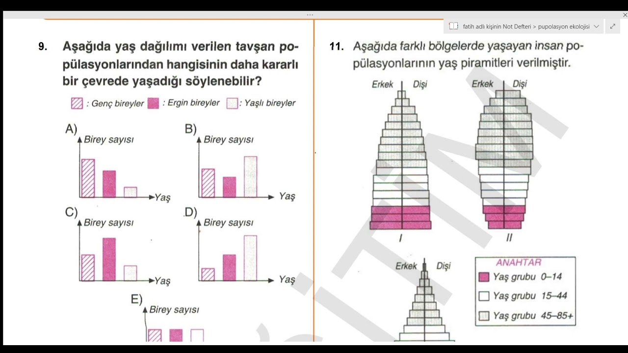 Kominite ve Popülasyon Ekolojisi Soru Çözümü