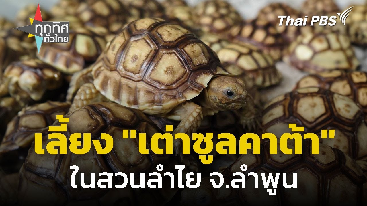 เลี้ยง 