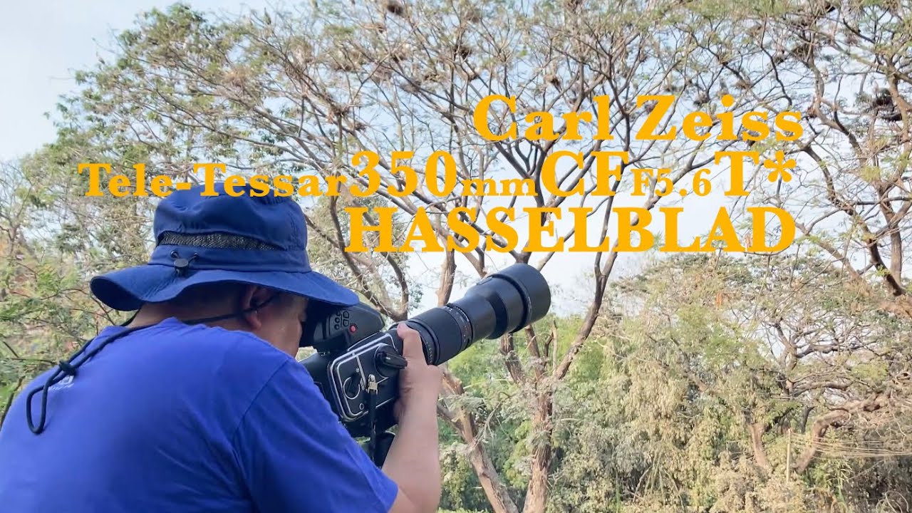 En : Carl Zeiss Tele -Tessar CF 350mm F5.6 T* lens, The 