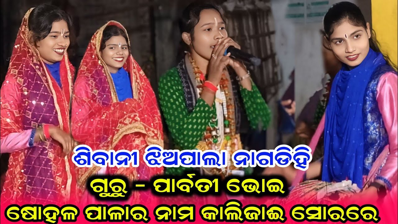 Pala song/Sibani jhia pala nagdihi/Nagdihi tukel pala/Sibani pala/Sibani jhia pala/JC media