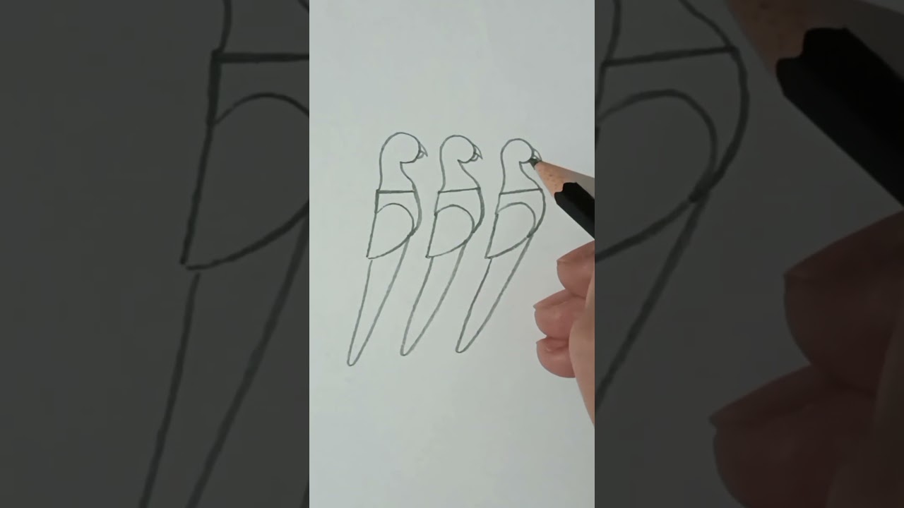 Simple drawing birds with 555