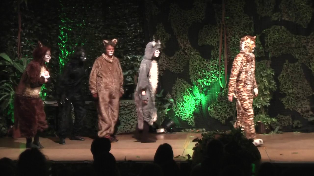 Binger Theatergruppe 