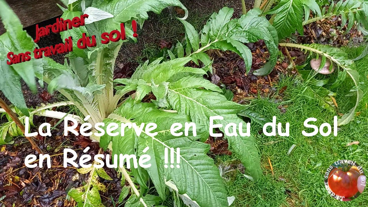 La Réserve en Eau du Sol en Résumé !