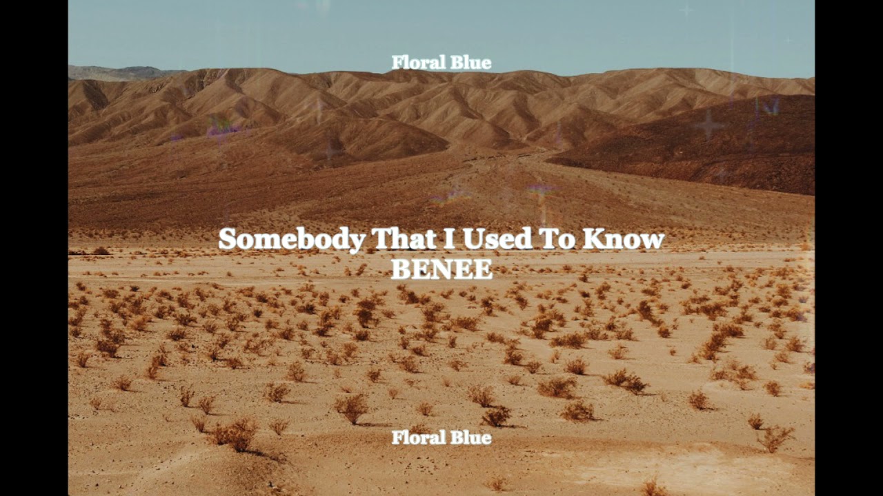 BENEE - Somebody That I Used To Know