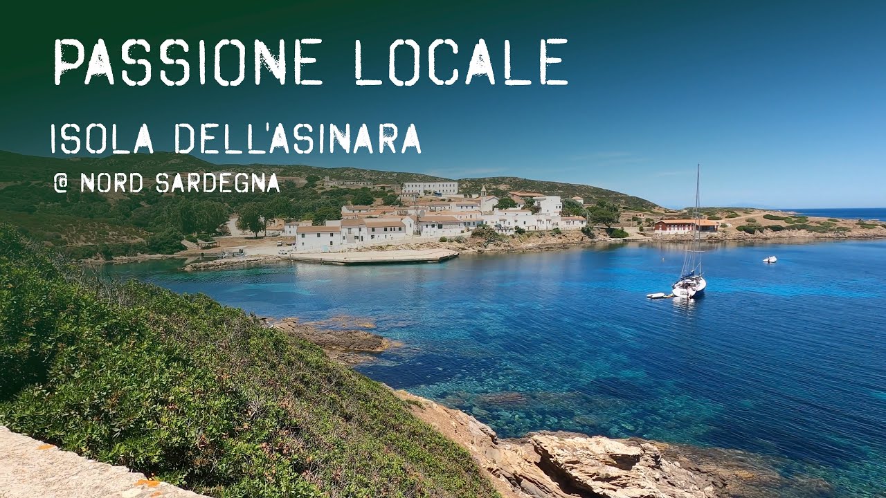 Isola Dell'Asinara - Passione Locale