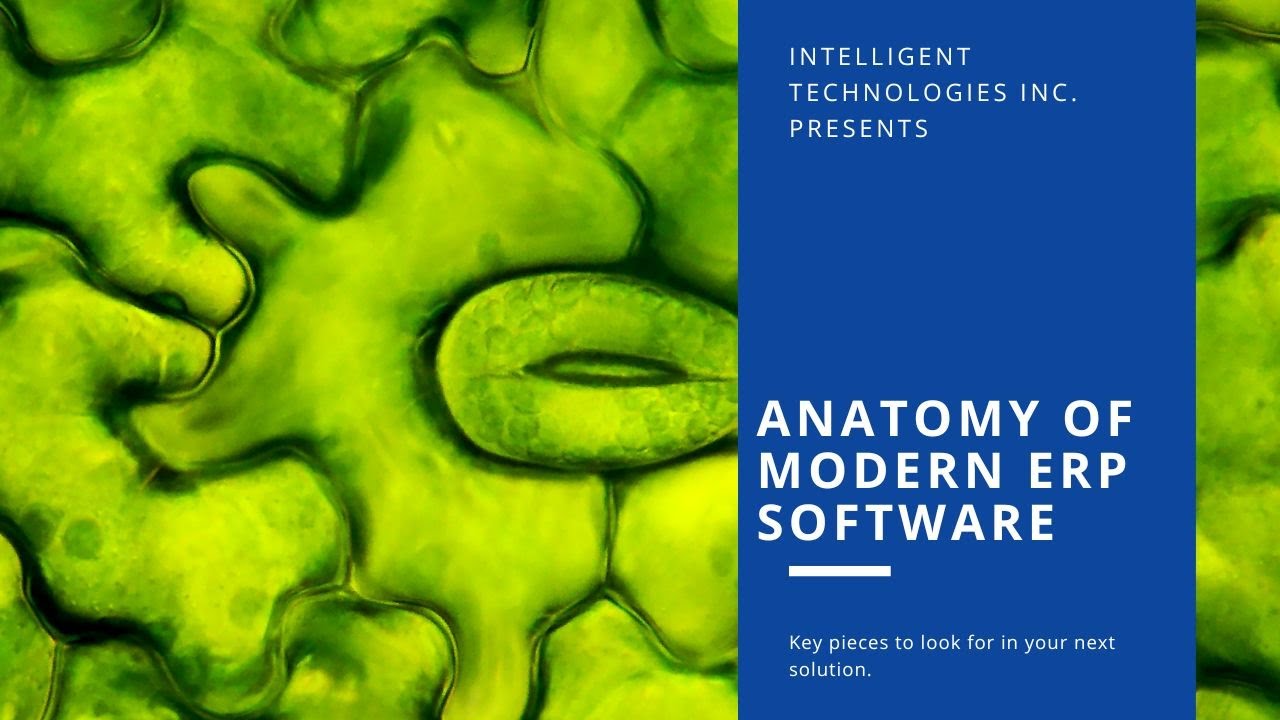 Anatomy of Modern ERP Software