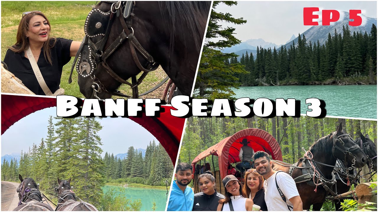 A different side of Banff || Things to do in Banff || Lake Louise Vlog || S3 E5