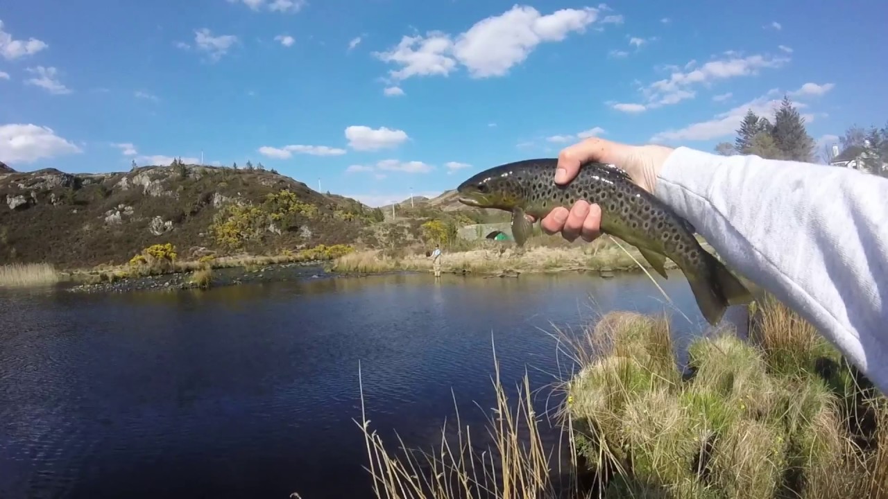 In Search of Monsters - Scourie Fly Fishing for Trout