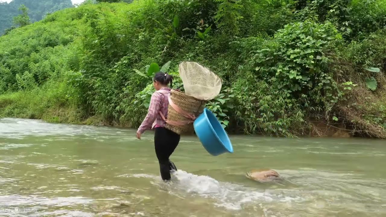 After Storm: Suddenly Finding a River Full of Fish Upstream and Bringing Them to Market