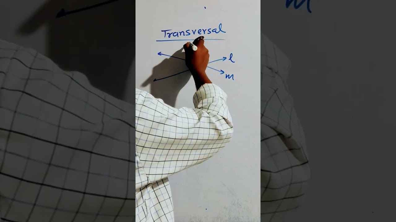 Czym jest transwersal?
