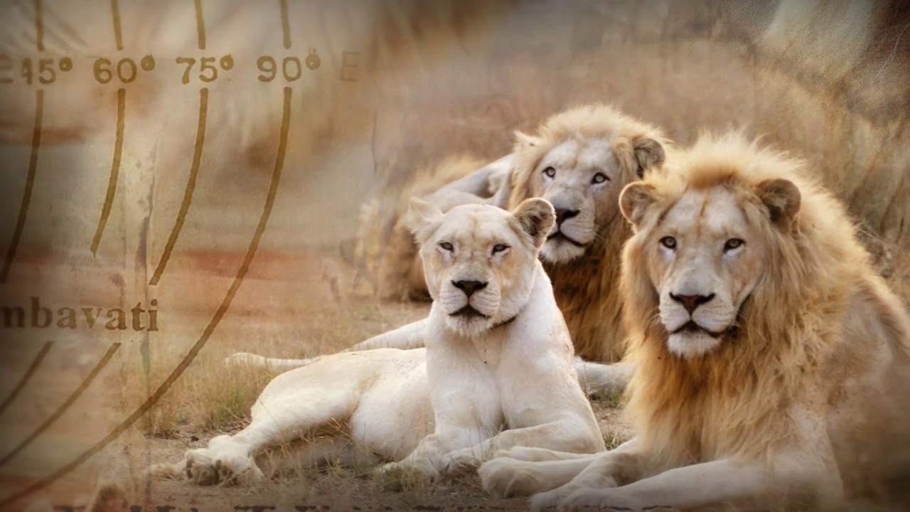 Children of the Sun God