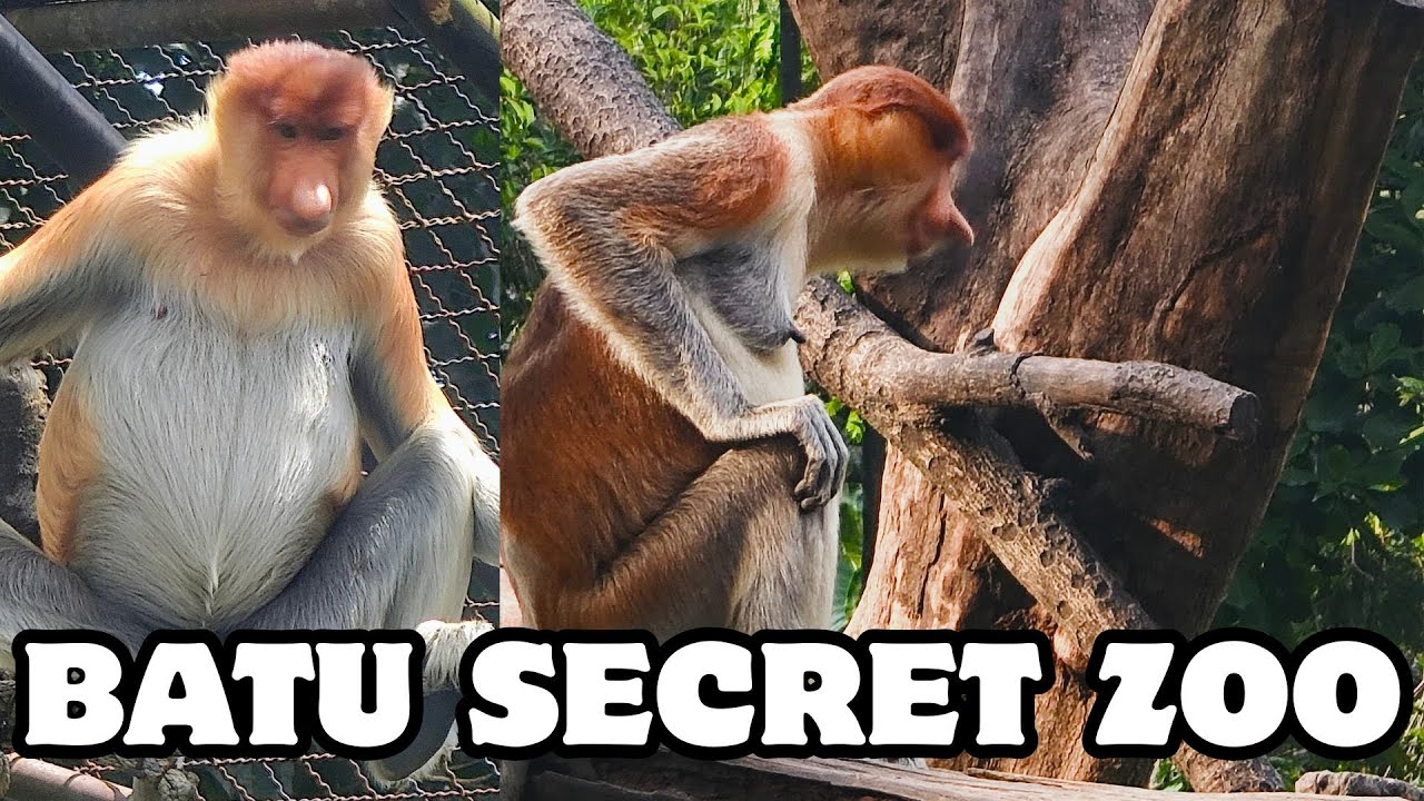 BATU Secret ZOO - Indonesia