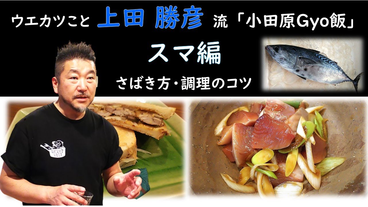 ウエカツこと 上田勝彦 流  「小田原Gyo飯」　スマ編（カツオの仲間）