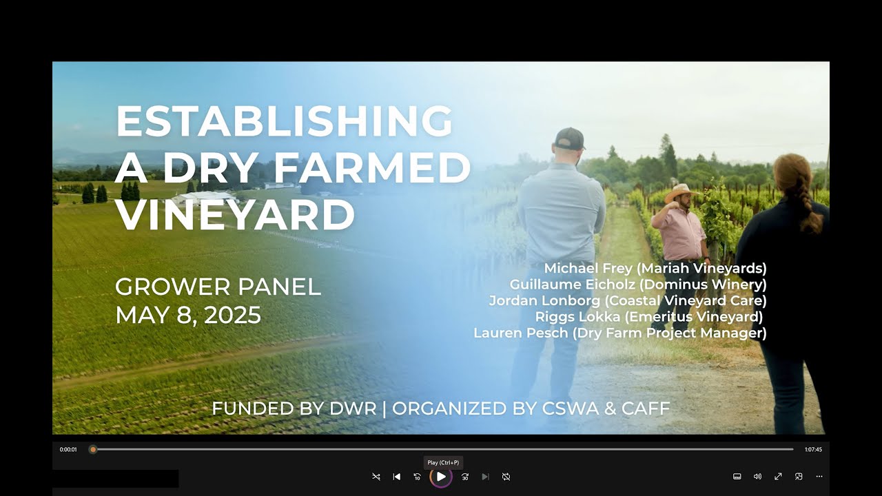 Establishing A Dry Farmed Vineyard: Grower Panel Discussion