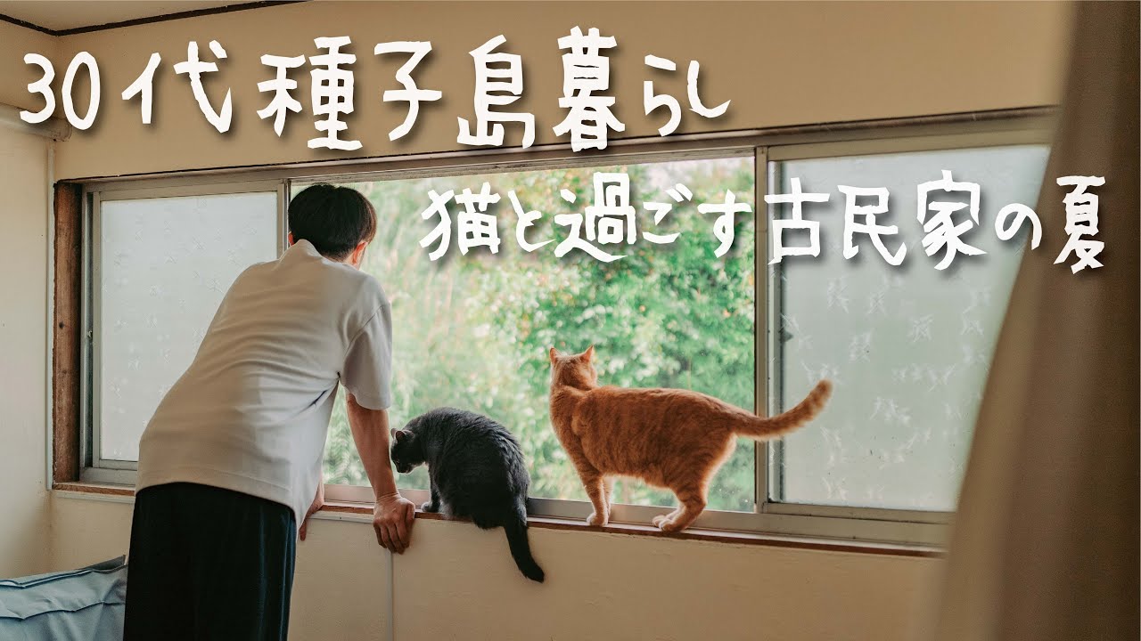 【30代種子島暮らし】大好きな猫たちと過ごす古民家暮らしの夏