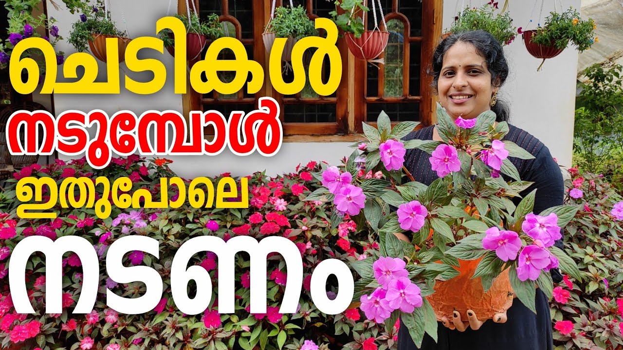 ചെടികൾ നടുമ്പോൾ ഇതുപോലൊന്ന് ന്നട്ടുനോക്ക് |When the plants are planted, look like this |J4u Tips