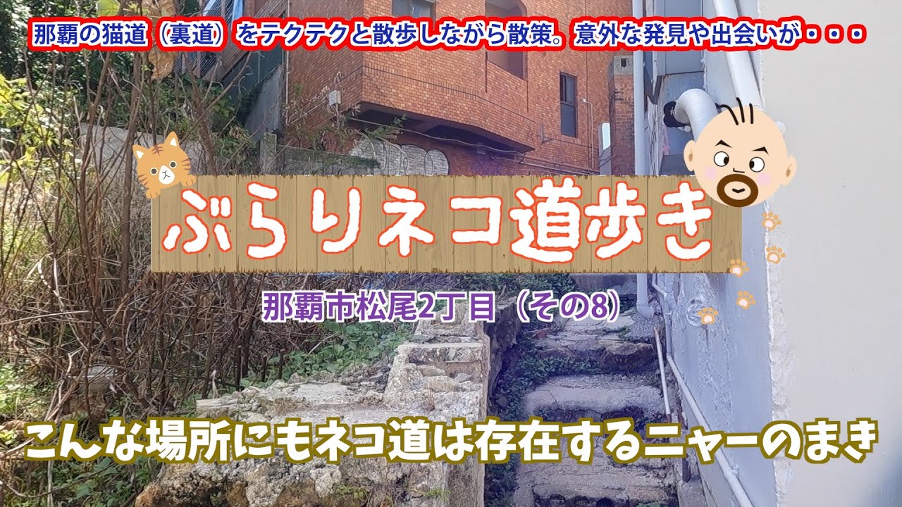 【沖縄 裏路地散策】こんな場所にもネコ道は存在するニャーのまき；那覇市松尾2丁目（その8）[ ぶらりネコ道歩き ]