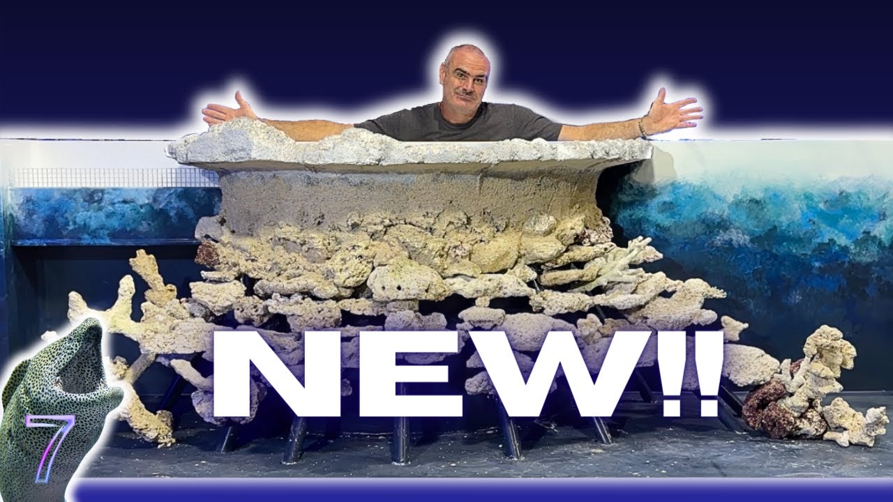 A NEW WAY OF AQUASCAPING LARGE AQUARIUMS WITH DRYROCK