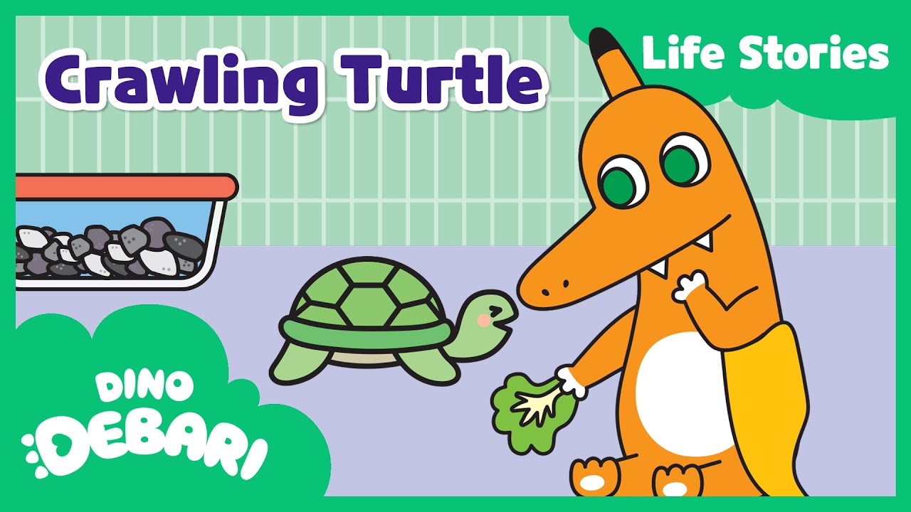 [ENG] 🦖ep. 26 | Crawling Turtle | Dino Debari Life Stories  | DebariTV