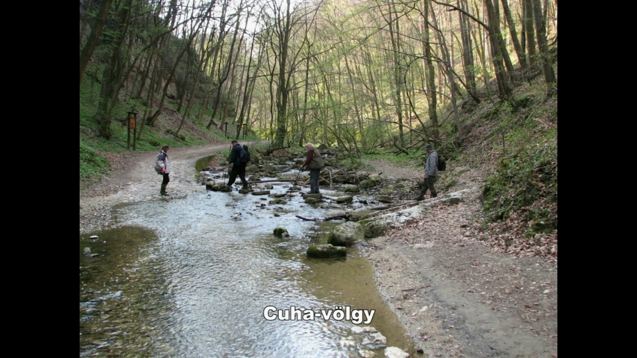 Utazás a Győr - Veszprém vasútvonalon