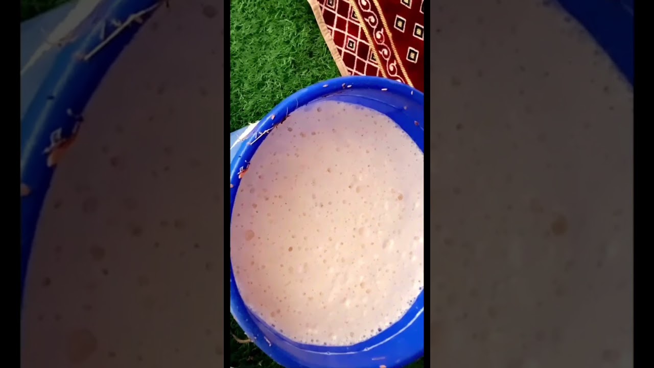 زراعة الغاف