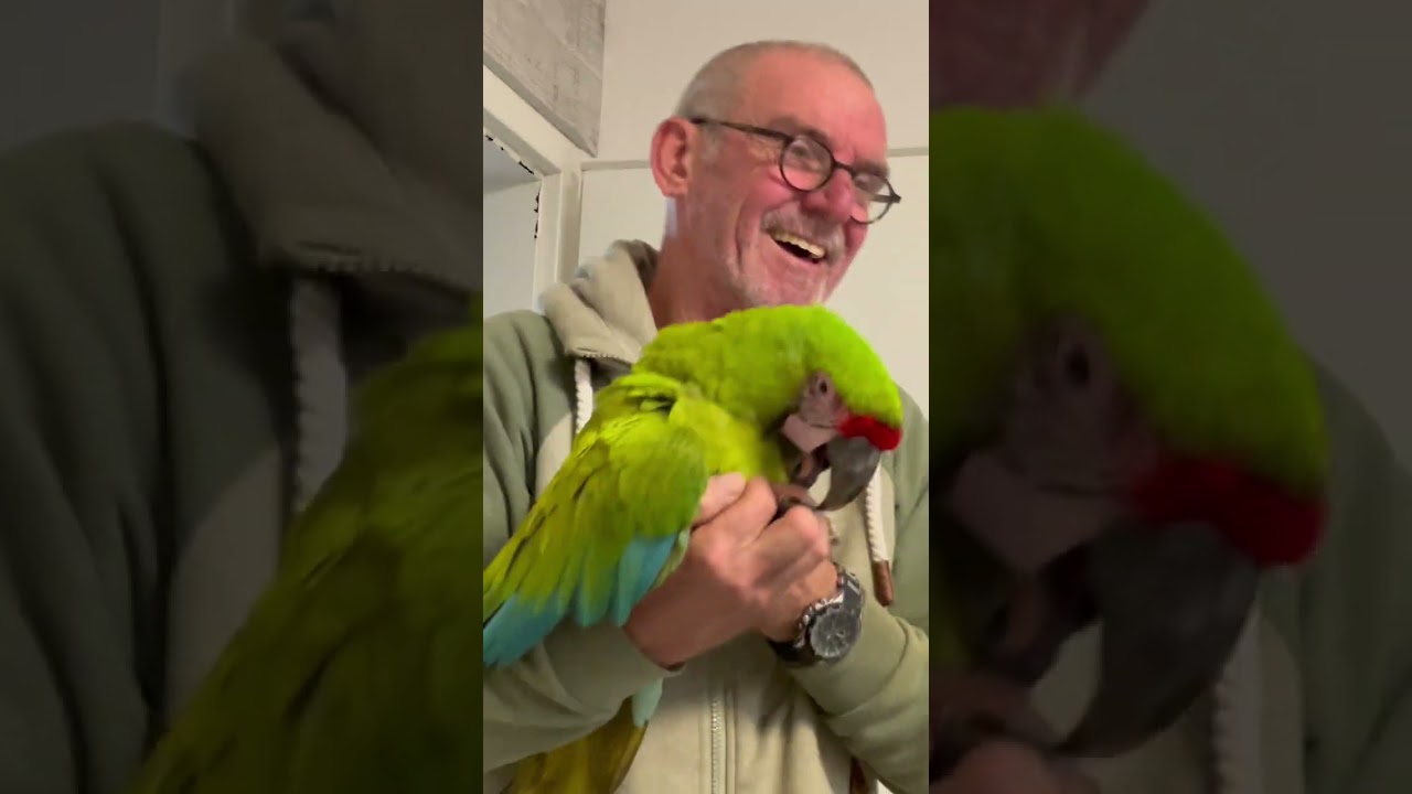Fritz, Fritz und ausschließlich Fritz ❤️ Großer Soldatenara liebt nur ihn