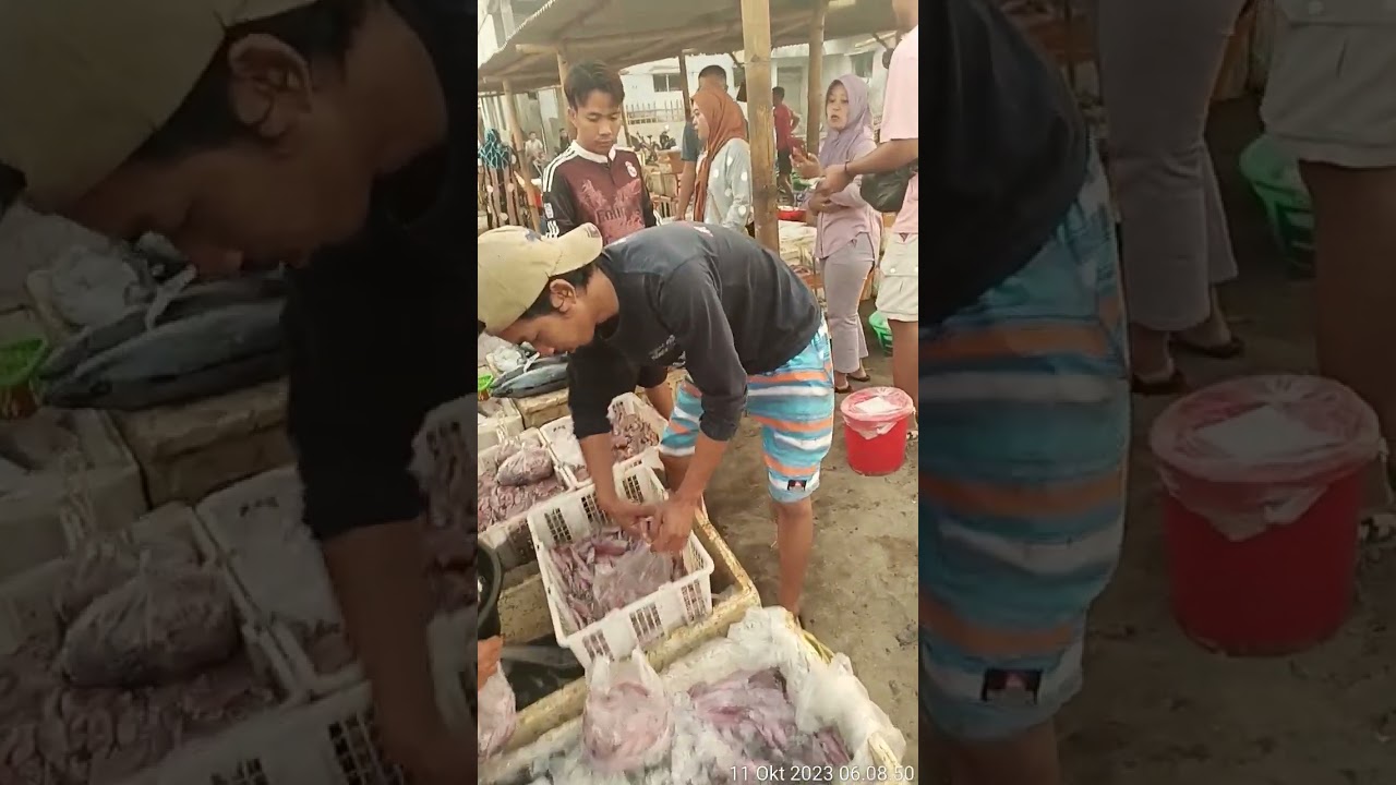 kondisi pasar ikan tanjung luar lombok timur , lagi musim cumi, murah harganya