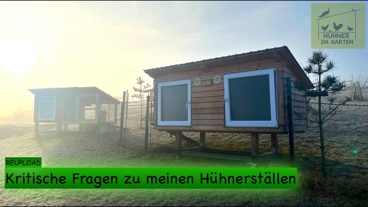 Kotbrett sinnvoll? H&auml;ufige Fragen zu meinem H&uuml;hnerstall 2.0 Konzept - Reupload