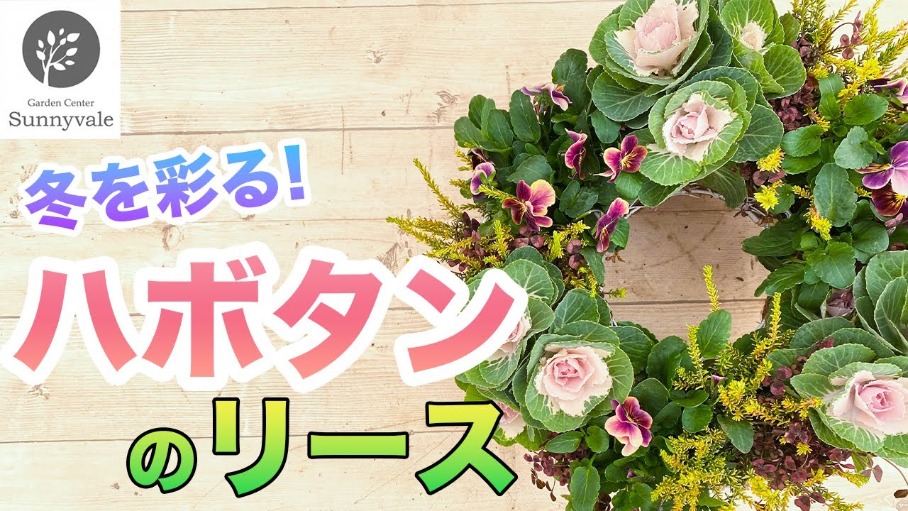 【リースの寄せ植え】冬を彩る葉牡丹のリースをご紹介！　＃65