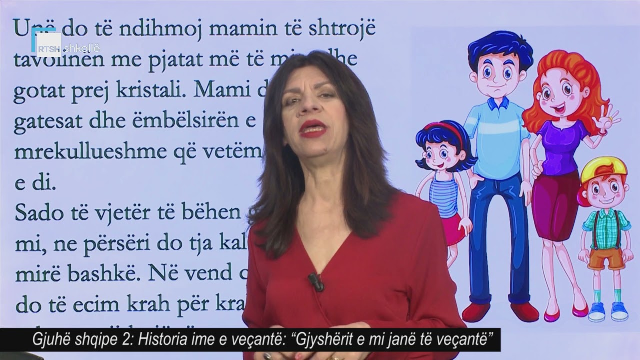 Gjuhë shqipe 2 - Historia ime e veçantë: 