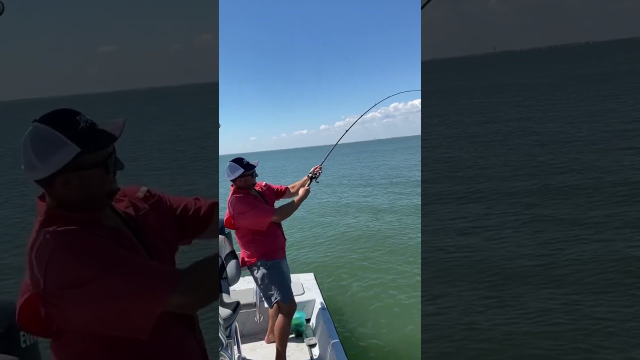 Galveston Bay Massive Hook Up! #Galveston #Texas #Shoalcat #Saltwaterfishing